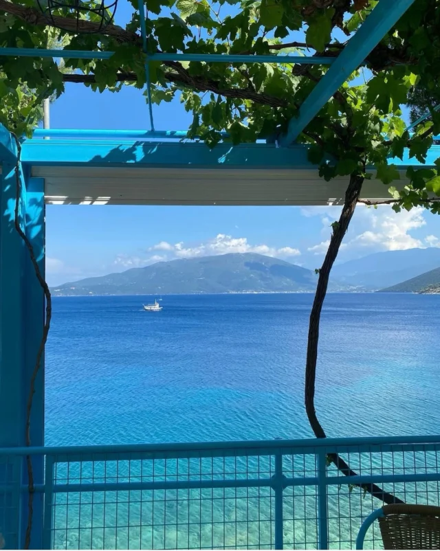 That's summer in greece!💙

Thank you 🙏🏻 @filita_travel 

#extravirginoliveoil #summervibes #summeringreece #endlessblue #ladolea #niceview #august